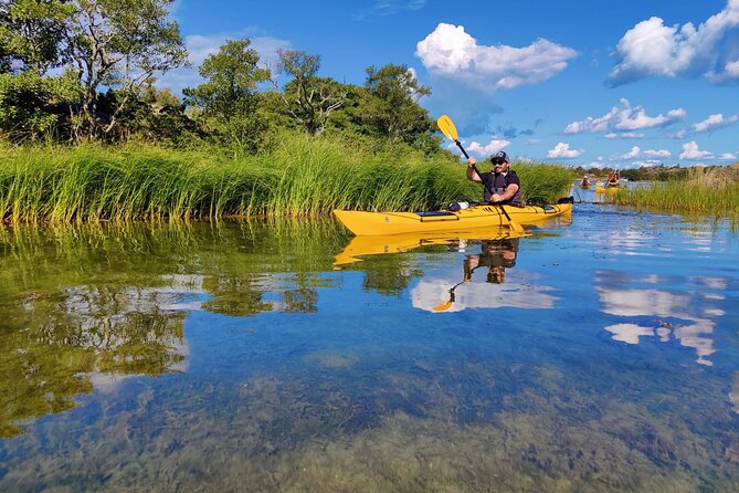 1-Day Small-Group Stockholm Archipelago Kayak Tour - Campfire Lunch on a Quiet Island