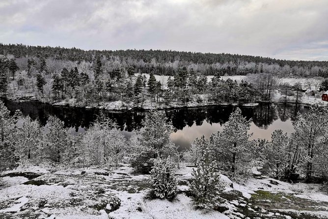 1-Day Small-Group Stockholm Nature Hiking - What the five-hour hike feels like