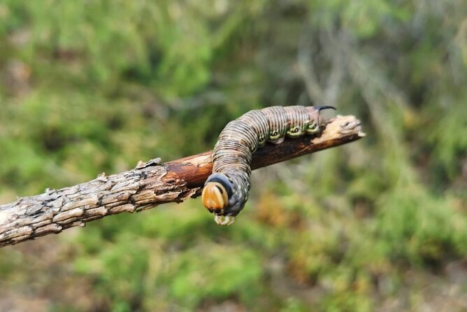 2-Day Small-Group Basic Skills Survival Course in Södermanland - What the two days feel like