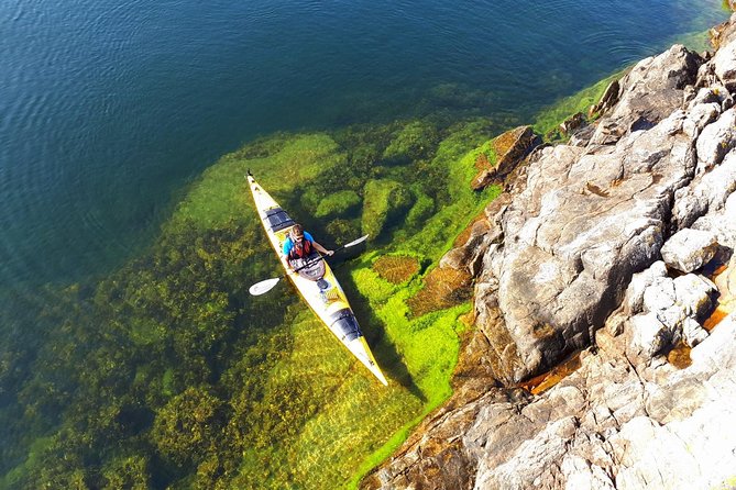 3-Day Stockholm Archipelago Kayaking and Camping Tour - Day three at Bullero Nature Reserve