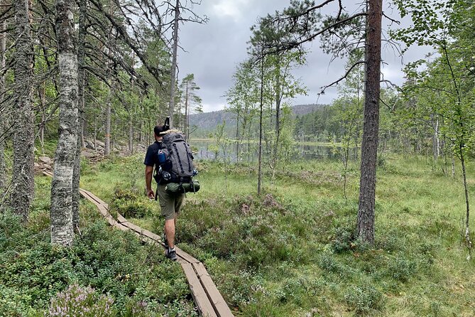 4-Day Hiking Adventure in Skuleskogen National Park (Höga Kusten) - Skuleskogen National Park and the coastal route