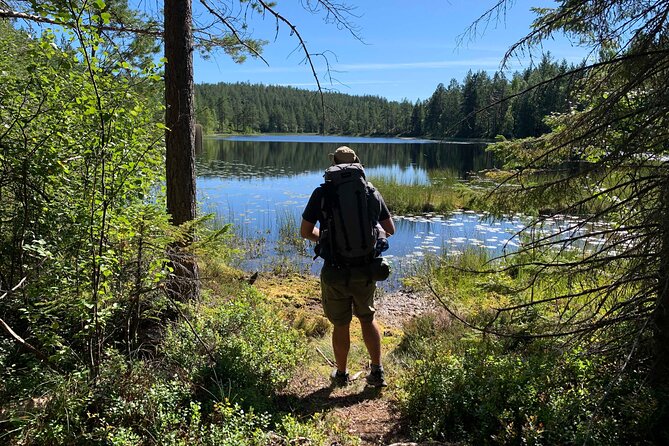 4-Day Hiking Adventure in Skuleskogen National Park (Höga Kusten) - Why the High Coast is worth the long journey