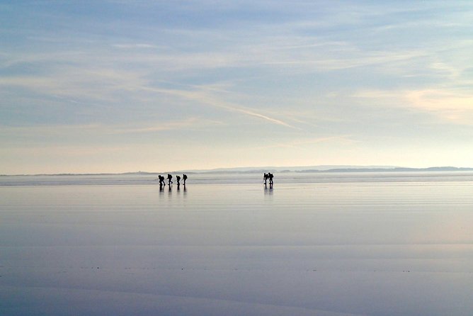 A Day on the Ice in Stockholm - The journey to the day’s ice