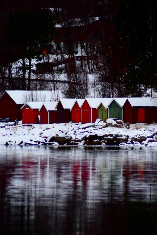 Abisko: Fjord Sightseeing and Photography Tour - Narvik or Bjerkvik for lunch