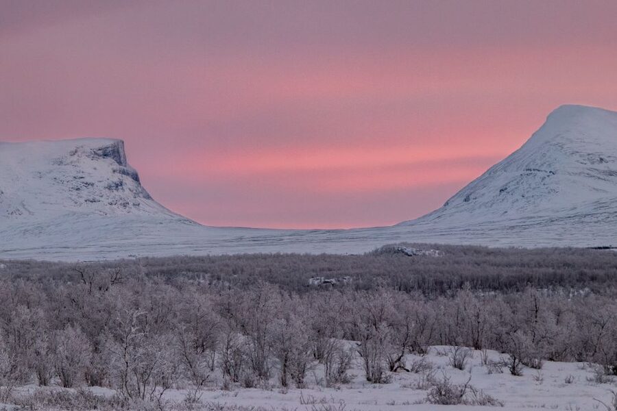Abisko National Park: Scenic Morning Hike with Transfer - Winter clothing matters more than the two-hour length
