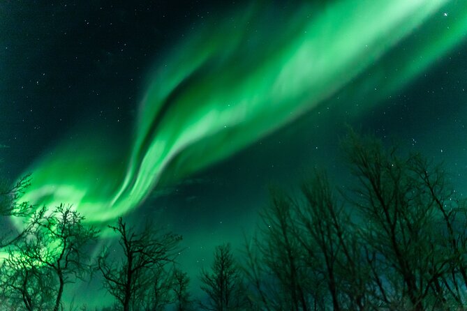 Abisko Northern Lights Tour with Photographer - Why Abisko is a smart base for an aurora chase