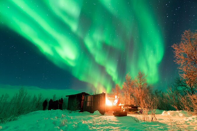 Abisko Northern Lights Tour with Photographer - Small group size and who will enjoy it most
