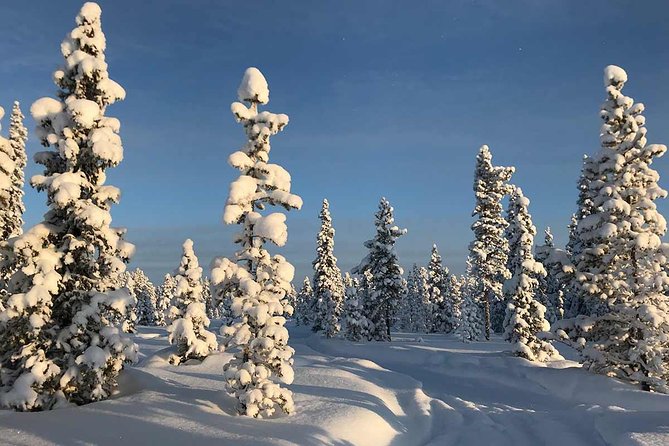 Afternoon Snowmobile Tour - The afternoon light and chance of an aurora