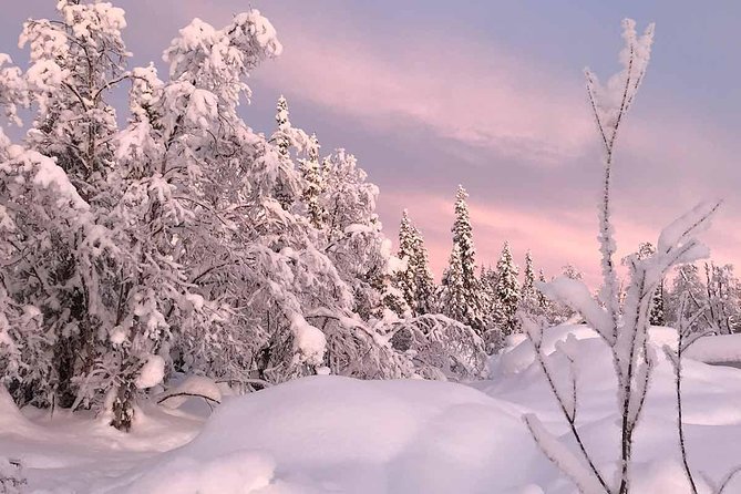 Afternoon Snowmobile Tour - Guides who make beginners feel secure