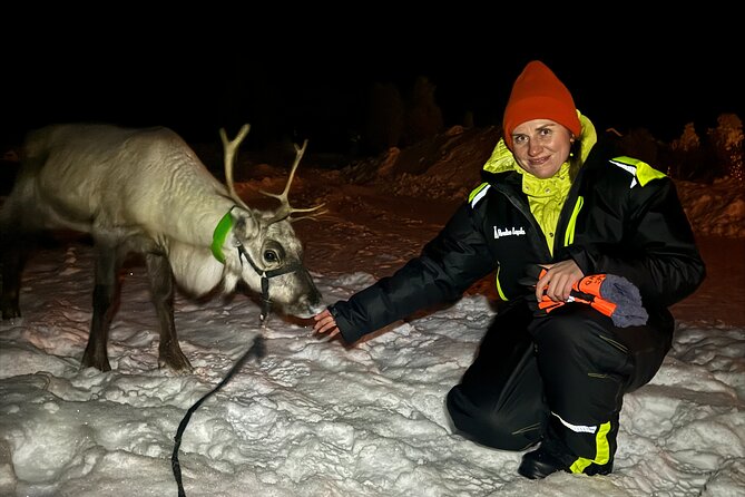 Arctic Adventure with Reindeer and Northern Lights Hunt 18:30 pm - Sámi culture without a rushed museum visit