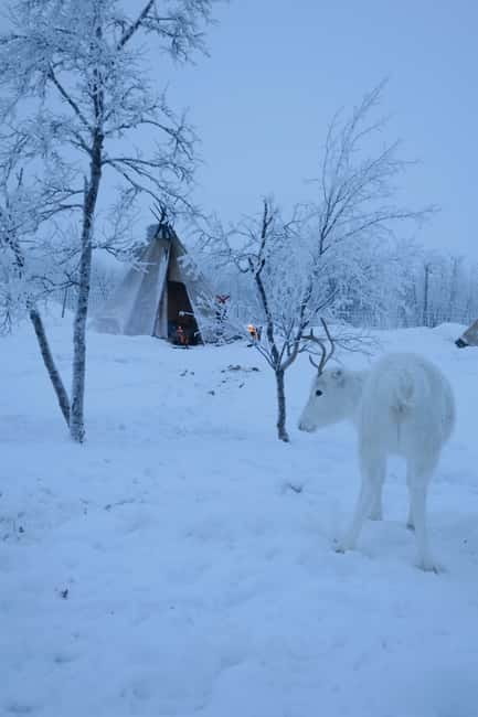 Arctic Dream - Snowmobile Safari to Lapland Viewpoint - The first riding section and the move toward open country