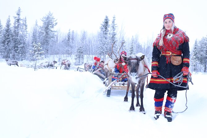 Aurora Hunting with Reindeer Caravan - Key points before you book