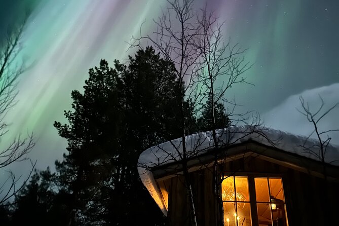Aurora Hunting with Reindeer Caravan - Searching the winter sky for the northern lights