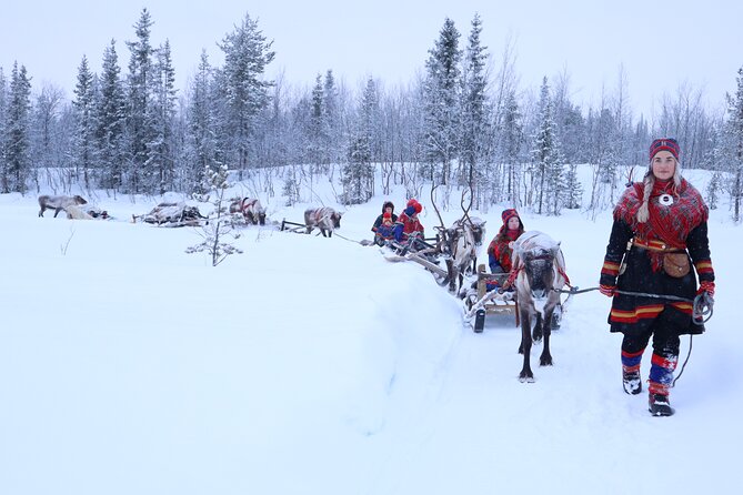 Aurora Hunting with Reindeer Caravan - What the Sámi focus adds to the outing