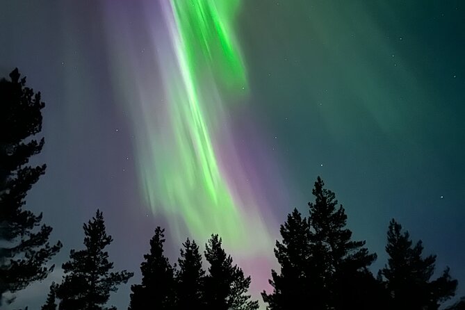 Aurora Hunting with Reindeer Caravan - Riding the reindeer caravan into the wilderness