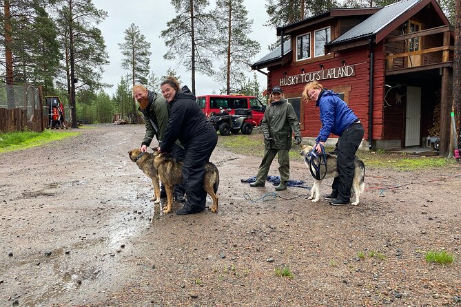 Autumn Husky Sit and Drive Cart Tour from Kiruna - Key points to know before booking