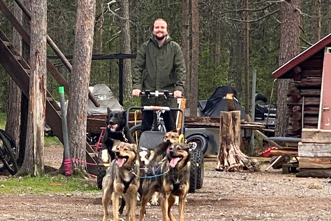 Autumn Husky Sit and Drive Cart Tour from Kiruna - Learning to drive and harness the huskies