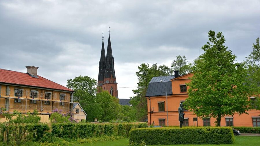 Best of Uppsala: Private Walking Tour with a Local - Uppsala Castle and the city from above