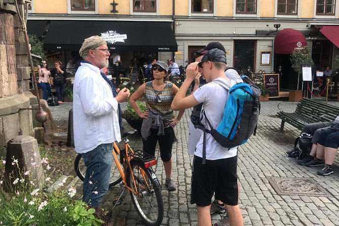 Best Stockholm Bike Tour. English, French or Spanish! - Djurgården, museums, and a gentler second half