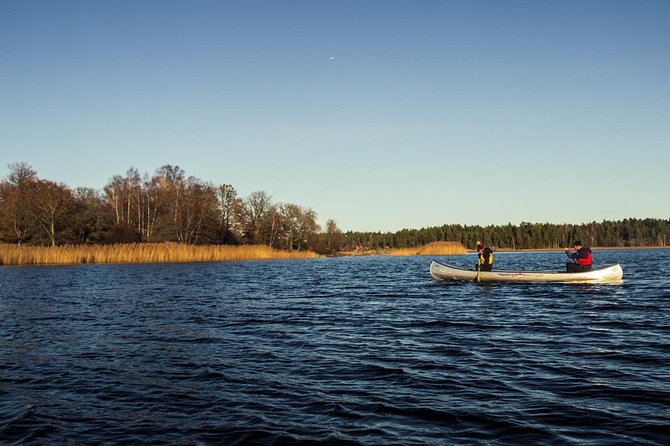 Canoe adventure in Stockholm Archipelago - Wildlife, water, and the chance of a beaver sighting