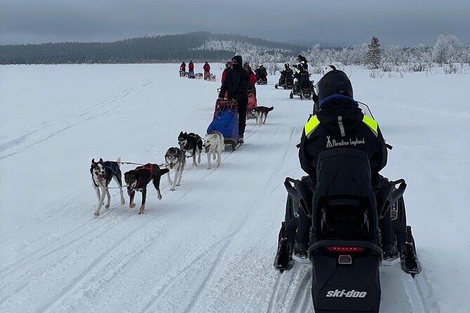 Day tour with snowmobile in Kiruna 10:30 am - What the high ratings mean for your decision