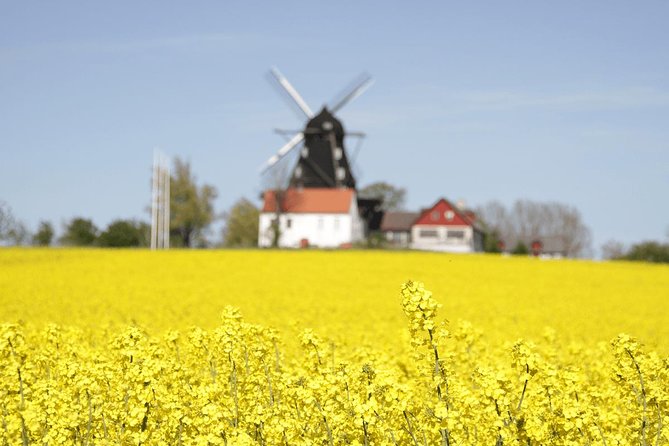Daytrip Bike Tour on the Swedish Countryside Private - Hallongården Trelleborg and the Swedish fika stop
