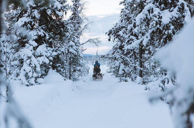Dog sledding excursion to Kiruna - The guides, from Anne to Eva