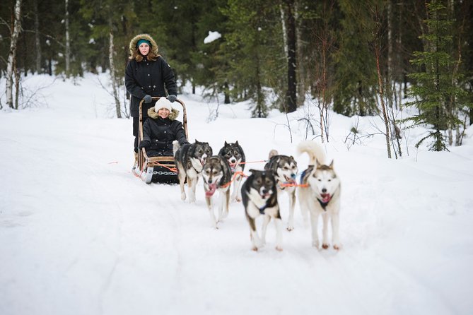 Dogsled Adventure Kiruna - The fire, fika, and lavuu break