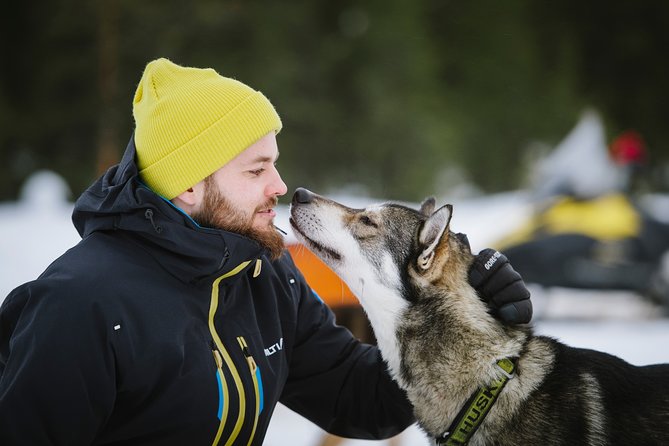 Dogsled Adventure Kiruna - Who should book this adventure?