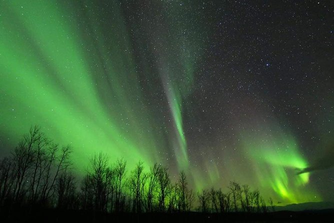 Enjoy the Aurora show on top of the mountain inc tipi dinner - Is $338.80 a fair price?
