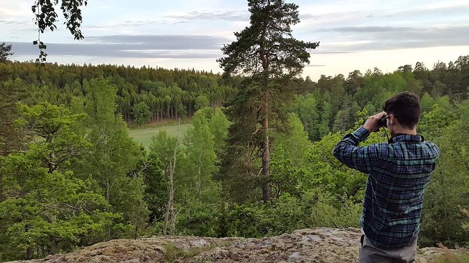 Evening Wildlife Safari Stockholm - The forest walk at Lundby parstuga