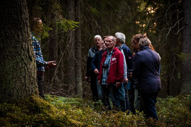 Evening Wildlife Safari Stockholm - What the $165.65 price really covers
