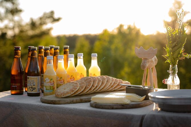 Evening Wildlife Safari Stockholm - Should you book the Evening Wildlife Safari Stockholm?