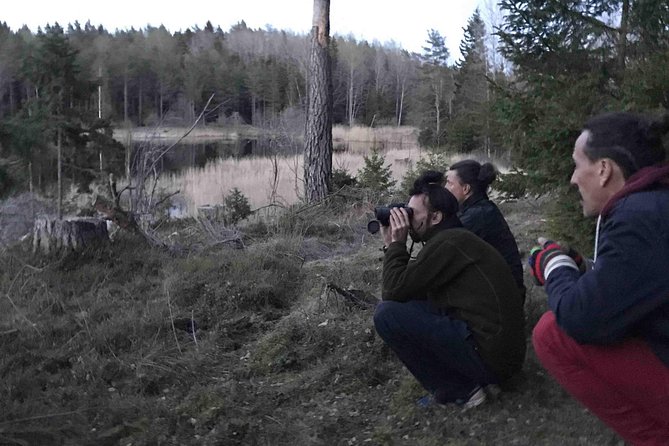 Evening Wildlife Safari with Campfire Dinner from Stockholm - Guides who make the forest easier to understand
