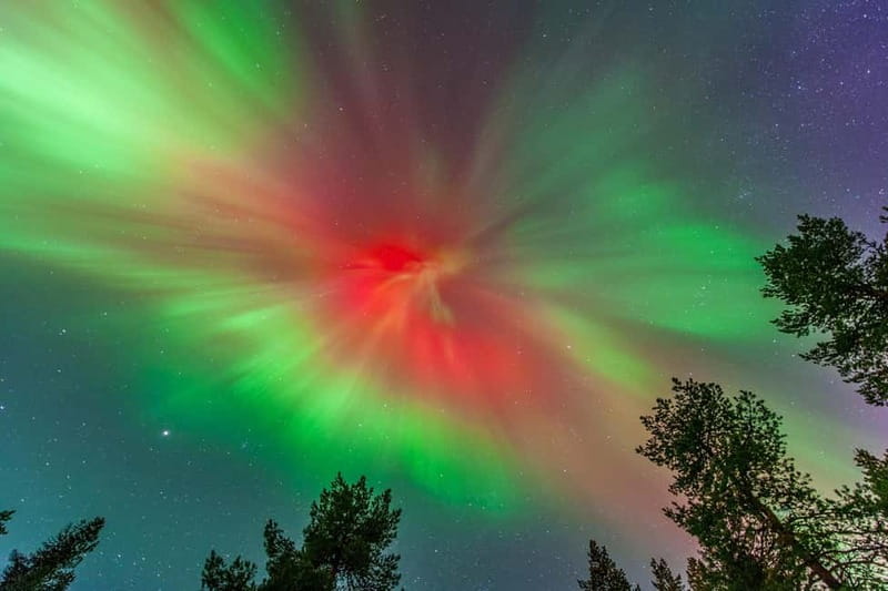 Experience the majestic Auroras Kiruna-Abisko & lodge dinner - Key points to know before booking