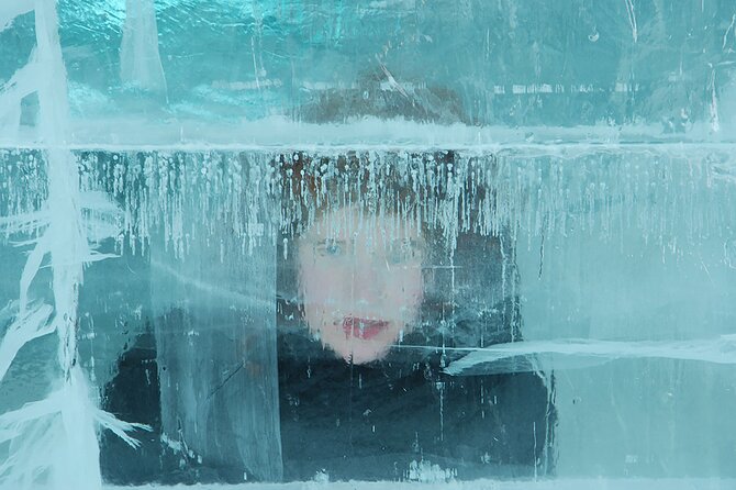 Explore the Icehotel, Day Trip from Abisko - Who should take this day trip?