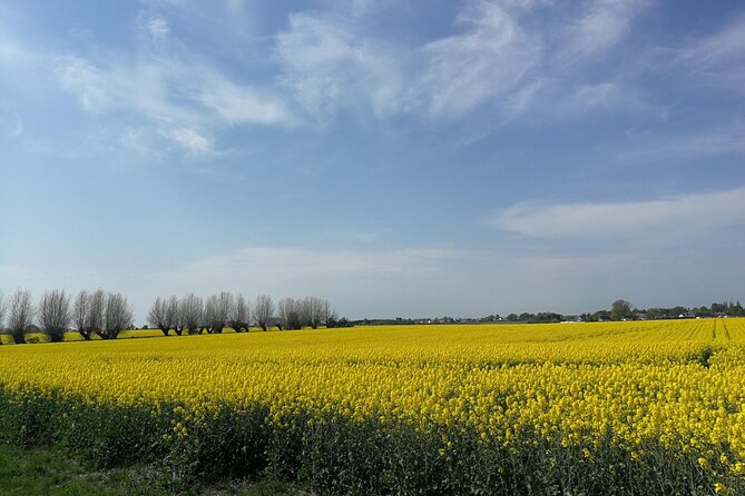 Explore the Instaworthy Spots of Malmö with a Local - Castle Mill and Malmö’s Royal Past