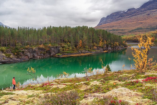 Explore the Norwegian Fjords and the Wildlife From Abisko - Why the Small Group Matters