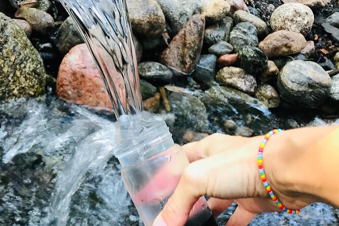 Forestbathing Slow Walking and Healing Spring Water, Stockholm - Key points to know before booking