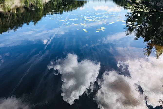 Forestbathing Slow Walking and Healing Spring Water, Stockholm - What the four-hour schedule really gives you