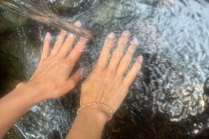 Forestbathing Slow Walking and Healing Spring Water, Stockholm - Who should book this nature experience?