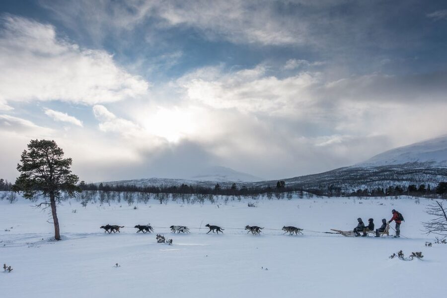 From Abisko: Dog Sledding Excursion to Kiruna with Fika - Why this Abisko dog sledding trip works well