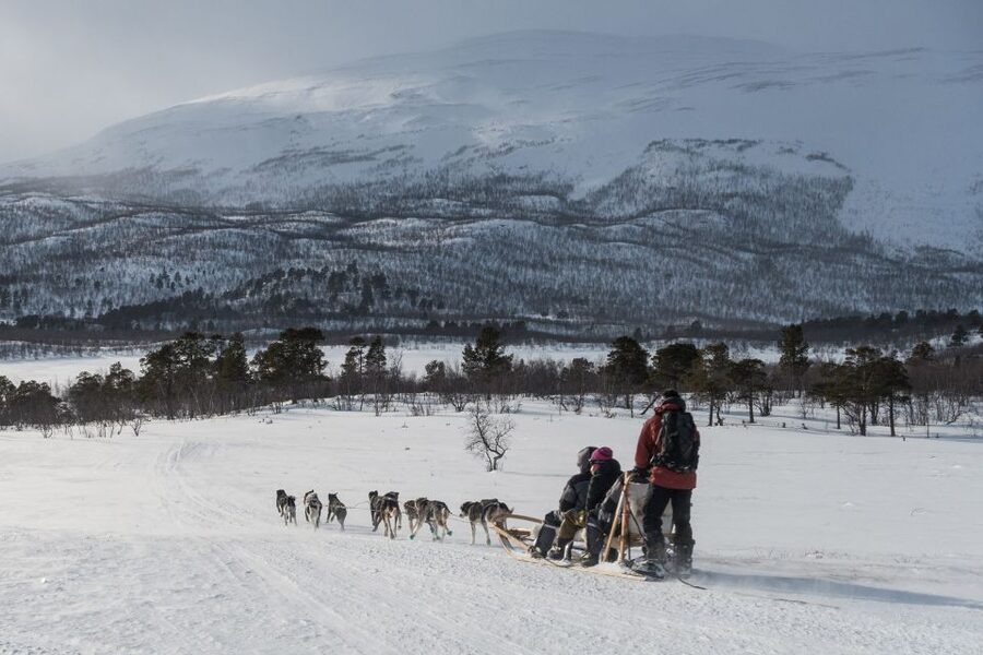 From Abisko: Dog Sledding Excursion to Kiruna with Fika - The morning pickup from Abisko or Björkliden