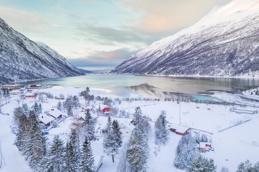 From Kiruna: Narvik City and Fjord Day Trip - Narvik Fjord and viewpoints around the city