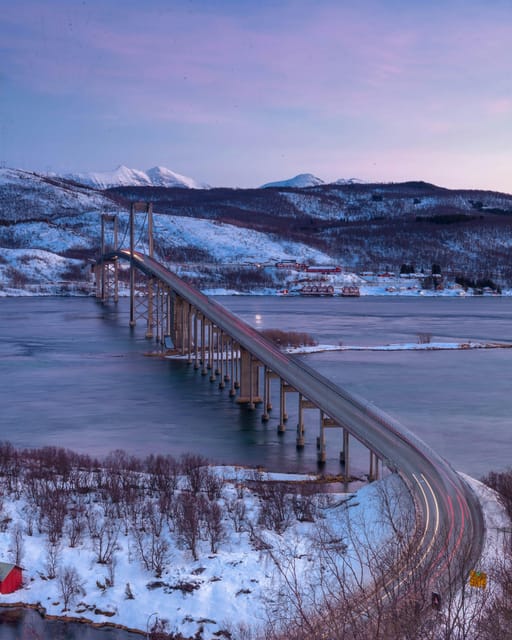 From Kiruna: Narvik City and Fjord Day Trip - Lunch in Narvik and time to look around