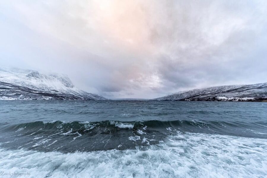 From Kiruna: Narvik City and Fjord Day Trip - Who should book this Kiruna day trip?