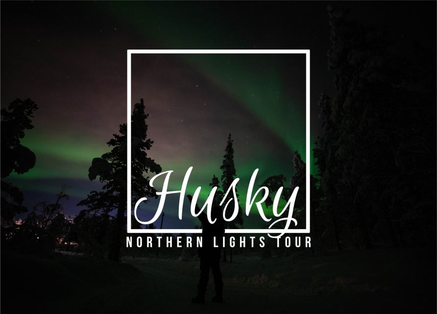 From Kiruna: Northern Lights Guided Husky Sledding Adventure - Key points before you book