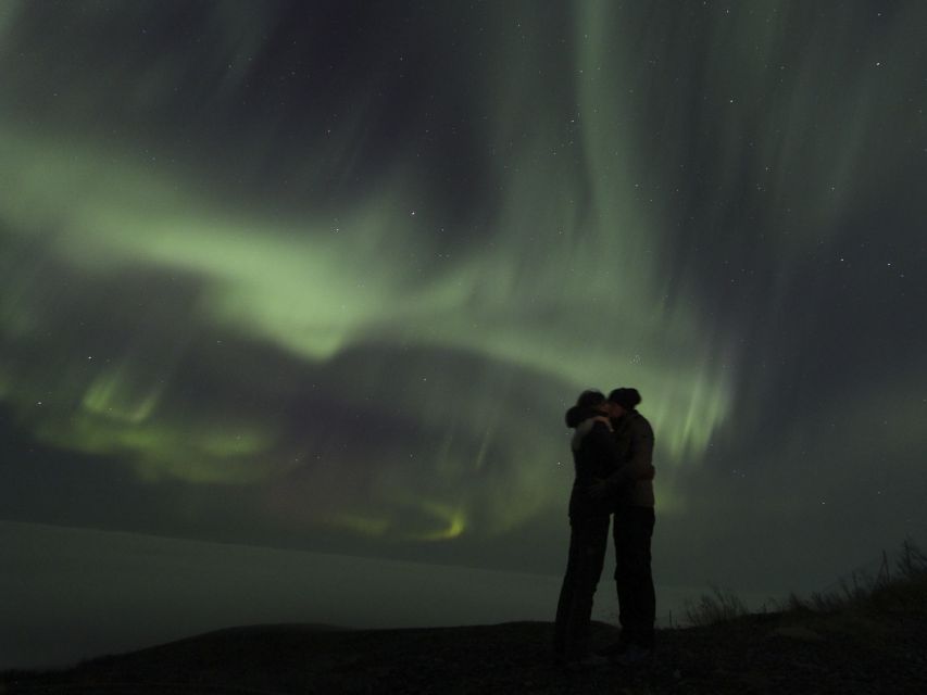 From Kiruna: Northern Lights Guided Husky Sledding Adventure - A hands-on night with the huskies