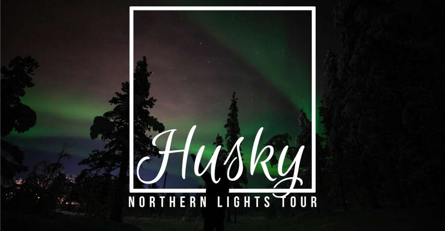 From Kiruna: Northern Lights Guided Husky Sledding Adventure - Safety first, then a pitch-black ride