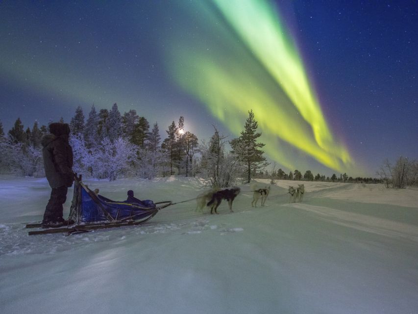 From Kiruna: Northern Lights Guided Husky Sledding Adventure - Northern lights: treat them as a lucky extra